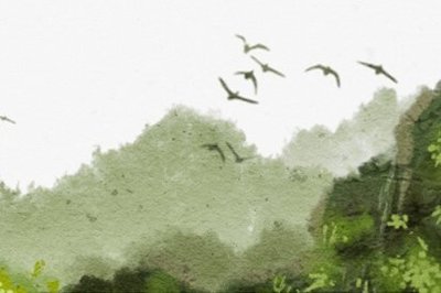 做梦梦见摘柿子