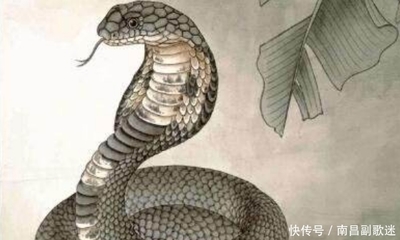 生肖蛇出生年份