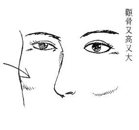 女人面相