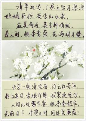 女孩子诗意的名字
