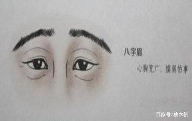 从眉毛看面相