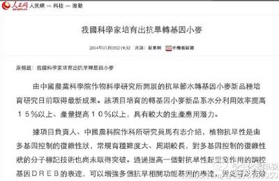 我国水稻小麦是转基因吗