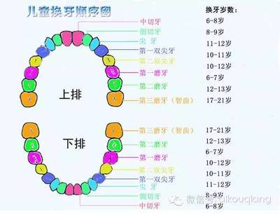 宝宝几岁换牙正常