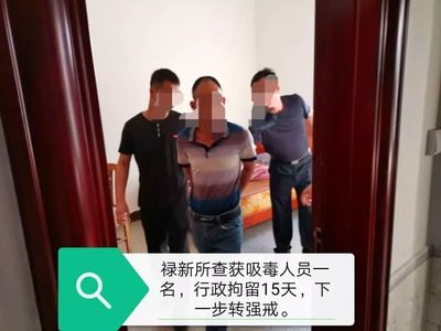 拘留十五天在里面干嘛