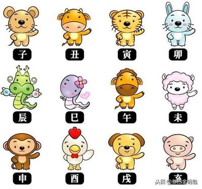 十二生肖今日财运