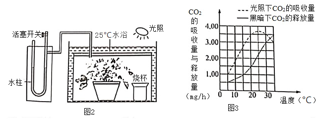 玻璃是不是有机物