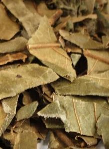 哪种中药可以祛痘
