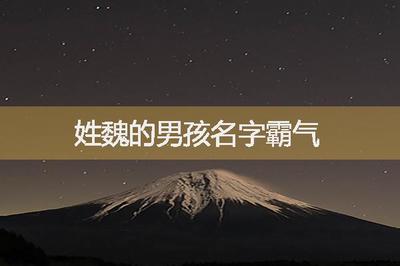 姓魏的男孩名字霸气