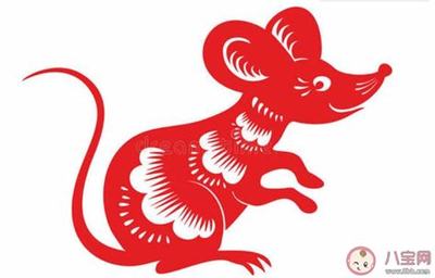 老鼠和鸡属相合不合
