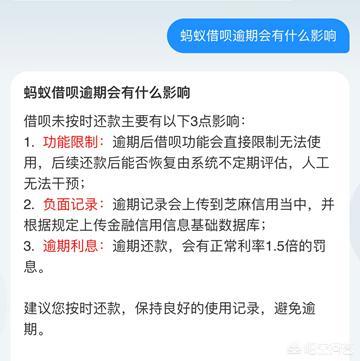 蚂蚁借呗逾期被起诉