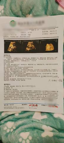 胎儿后期一周长多少斤