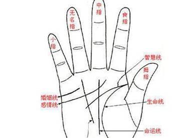 命运线止于智慧线