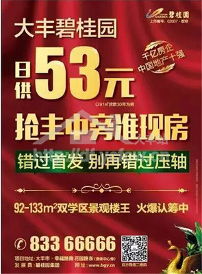 碧桂园 贷款