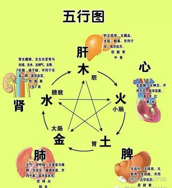 人五行