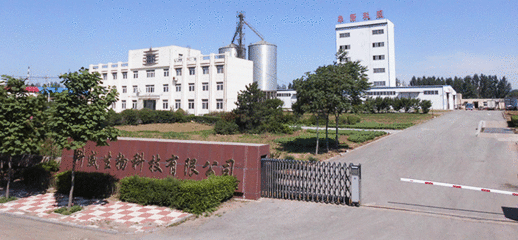 自动化专业职业愿景