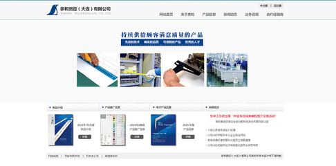 大连网页设计公司