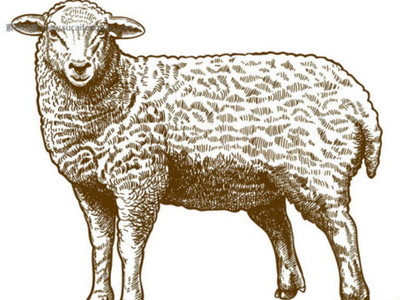 2018年属羊今年多少岁