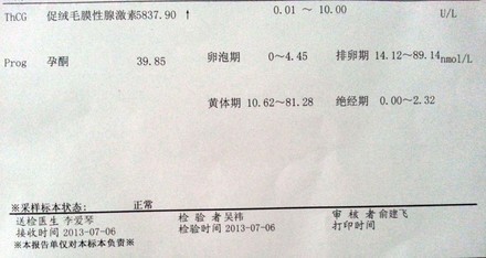 卵泡期 排卵期