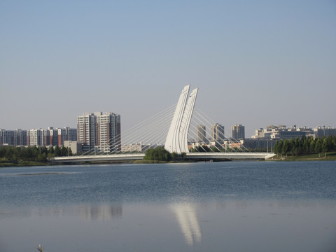 郑州龙子湖在哪个区