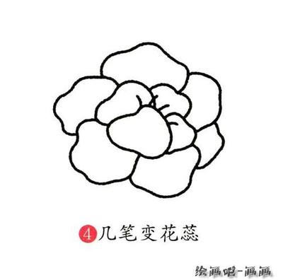 小学生牡丹花简笔画