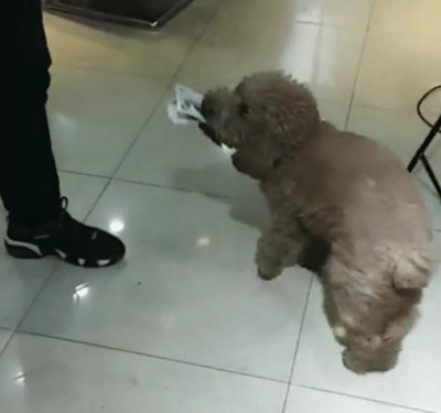 怎么表扬收银员