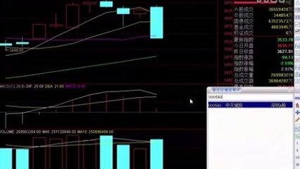 新手选什么股票好