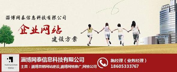 邹平网站推广哪家效果好,邹平网站,淄博网泰科技