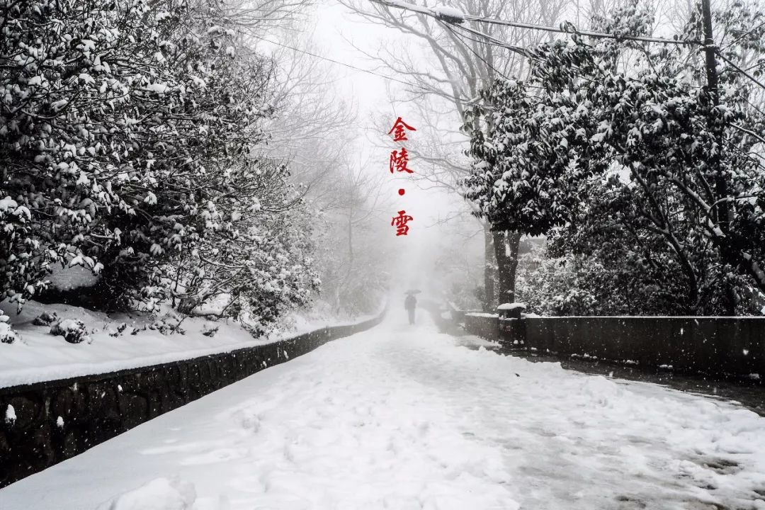 南京下雪了
