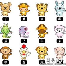 十二生肖的数字