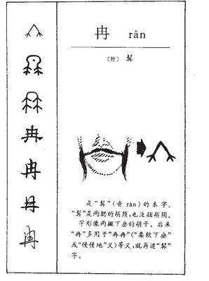 冉字五行属什么的
