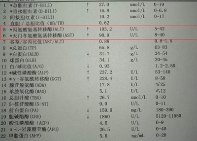 肝脏转氨酶偏高是怎么回事