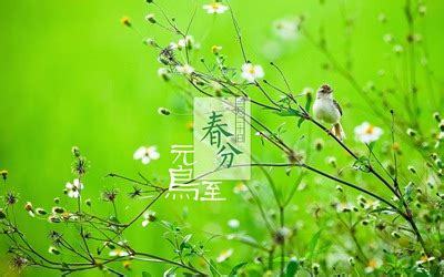 虎假半真之命是什么意思
