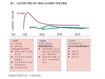 多少人有hpv