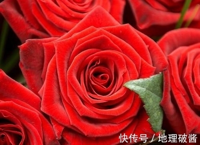属虎和属羊的合不合财