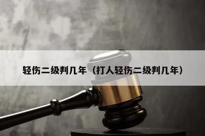 打人轻伤二级法律怎么判