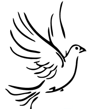 和平白鸽怎么画