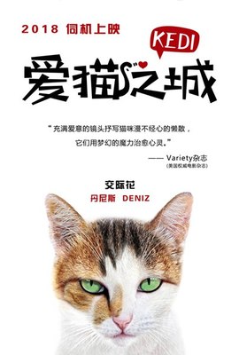 西游娱乐下载安装