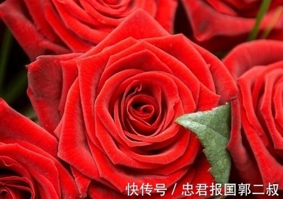 属虎和属羊的合不合财