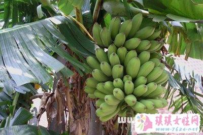 做梦梦到香蕉
