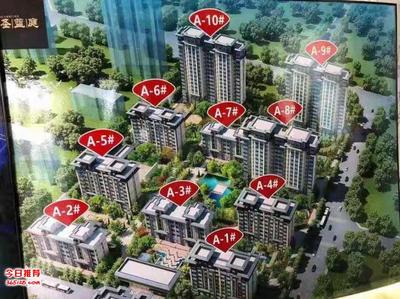 新区楼盘房价