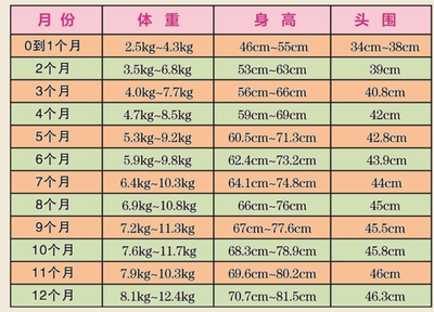 8个月的宝宝头围标准