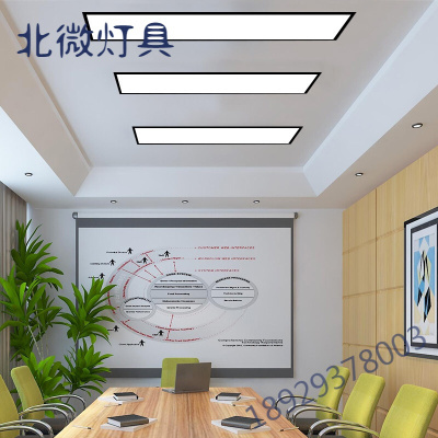 走廊吊顶长方形灯具