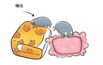 宝宝对螨虫过敏怎么办