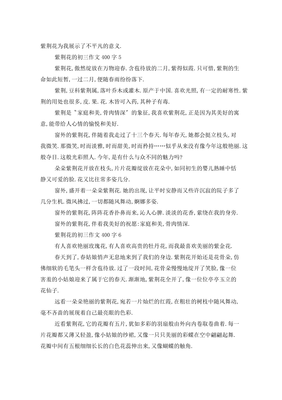 紫荆花作文500字