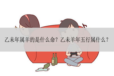 乙未年是什么命