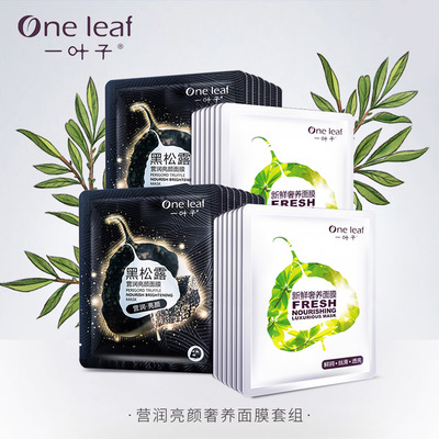 叶子面膜怎么用