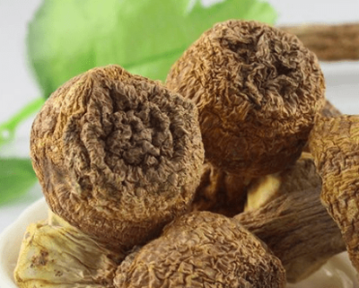 孕妇可以吃松茸
