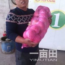 大荔再塑料筐厂