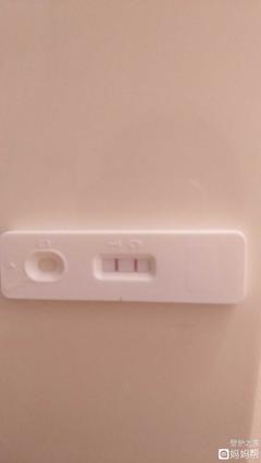 怀孕初期肚子会痛吗