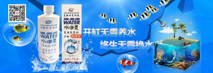 營口市鲅魚圈區(qū)熊岳佳寶勿忘我水族鮮花禮品店 全國水族館企業(yè)名錄